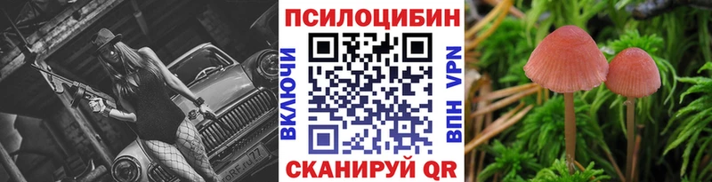 Галлюциногенные грибы мицелий  hydra ONION  Новая Усмань  наркота 